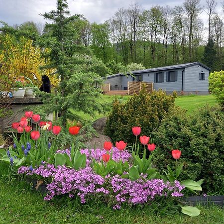 Chata Idylka - Nova Chata Se Zahradou Loučná nad Desnou Eksteriør billede